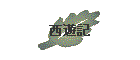���V�L