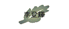 ���o�P